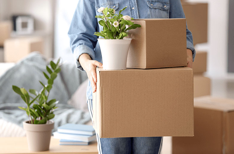بسته بندی دفتر کار خانگی