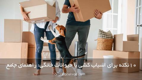 10نکته برای اسباب کشی با حیوانات خانگی: راهنمای جامع